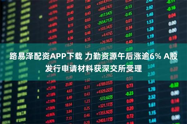 路易泽配资APP下载 力勤资源午后涨逾6% A股发行申请材料获深交所受理