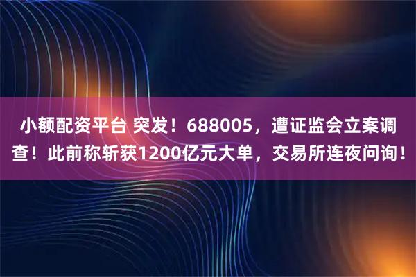 小额配资平台 突发！688005，遭证监会立案调查！此前称斩获1200亿元大单，交易所连夜问询！